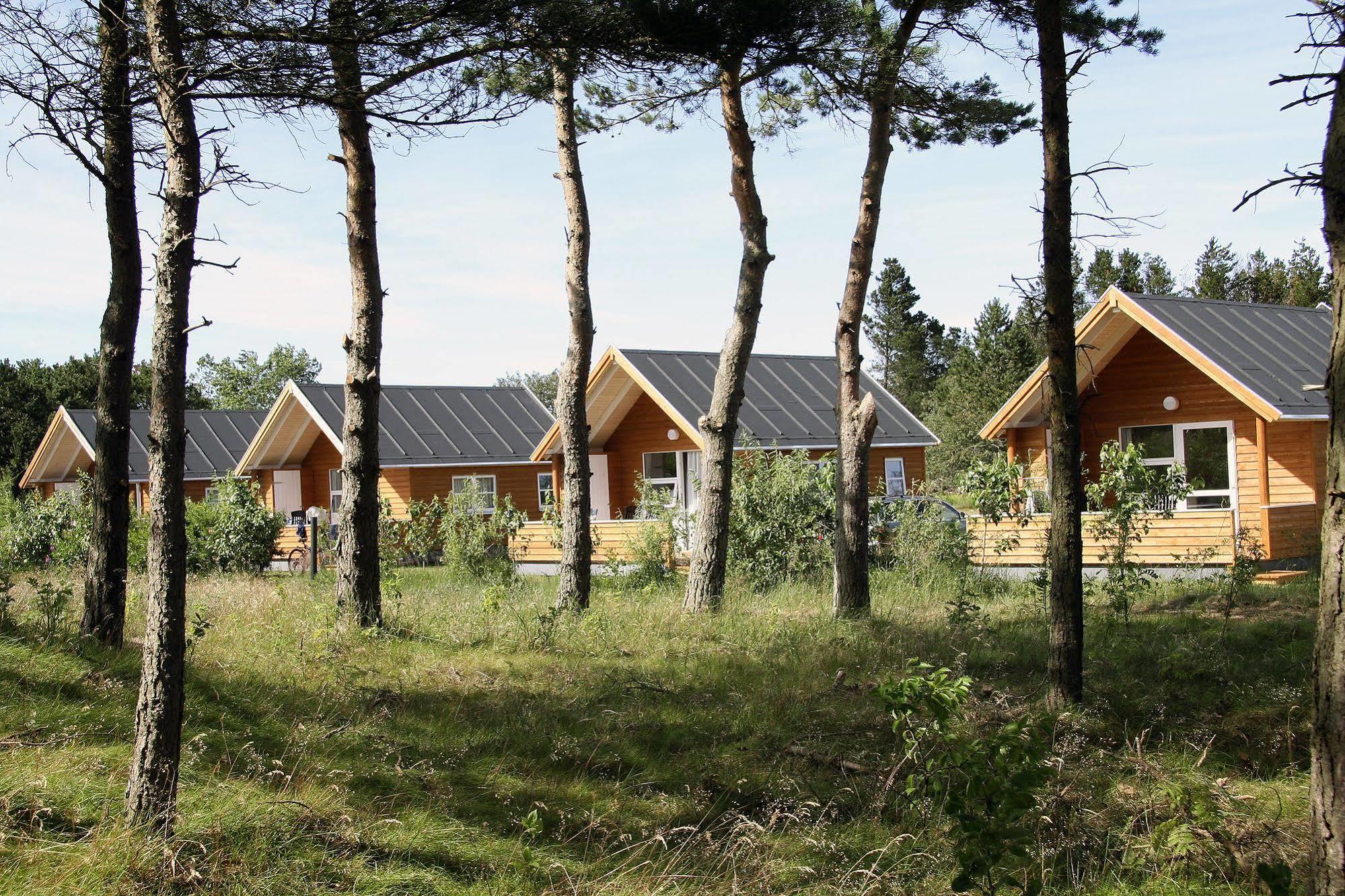 Отель First Camp Rabjerg Mile - Скаген Экстерьер фото